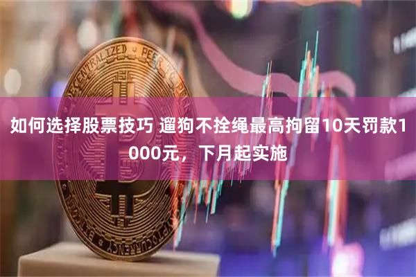 如何选择股票技巧 遛狗不拴绳最高拘留10天罚款1000元,下月起实施